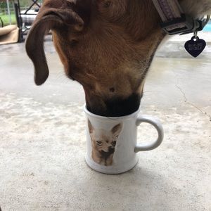 Meet your Posher, Nanette